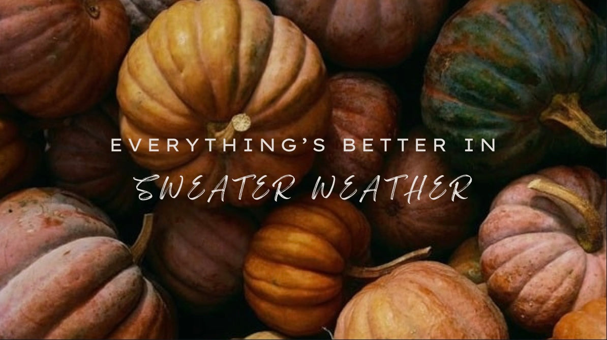 Banner_Herbst